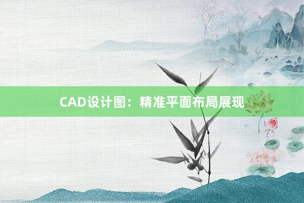 CAD设计图：精准平面布局展现